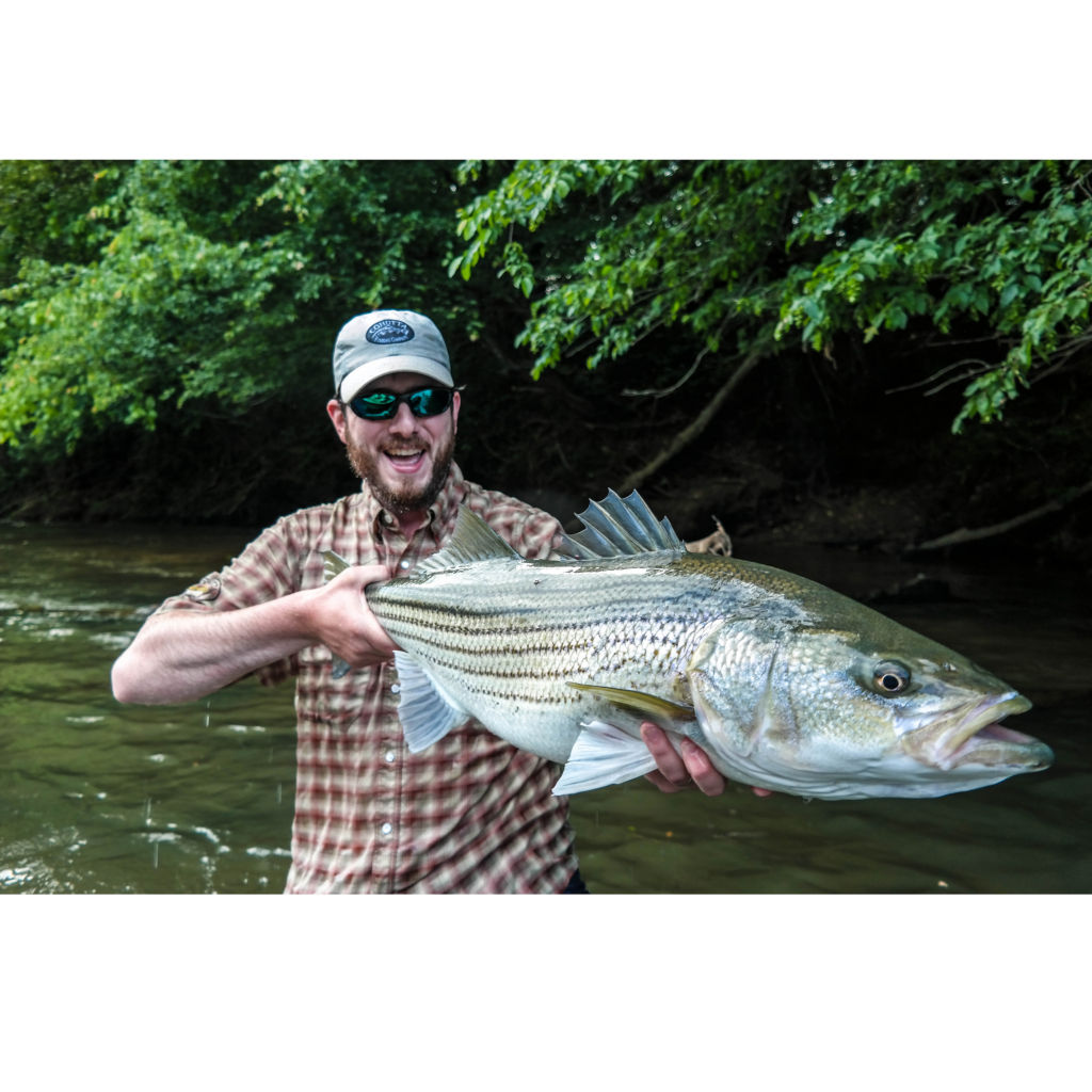 Cohutta Fly Fishing Co. -  image number 1