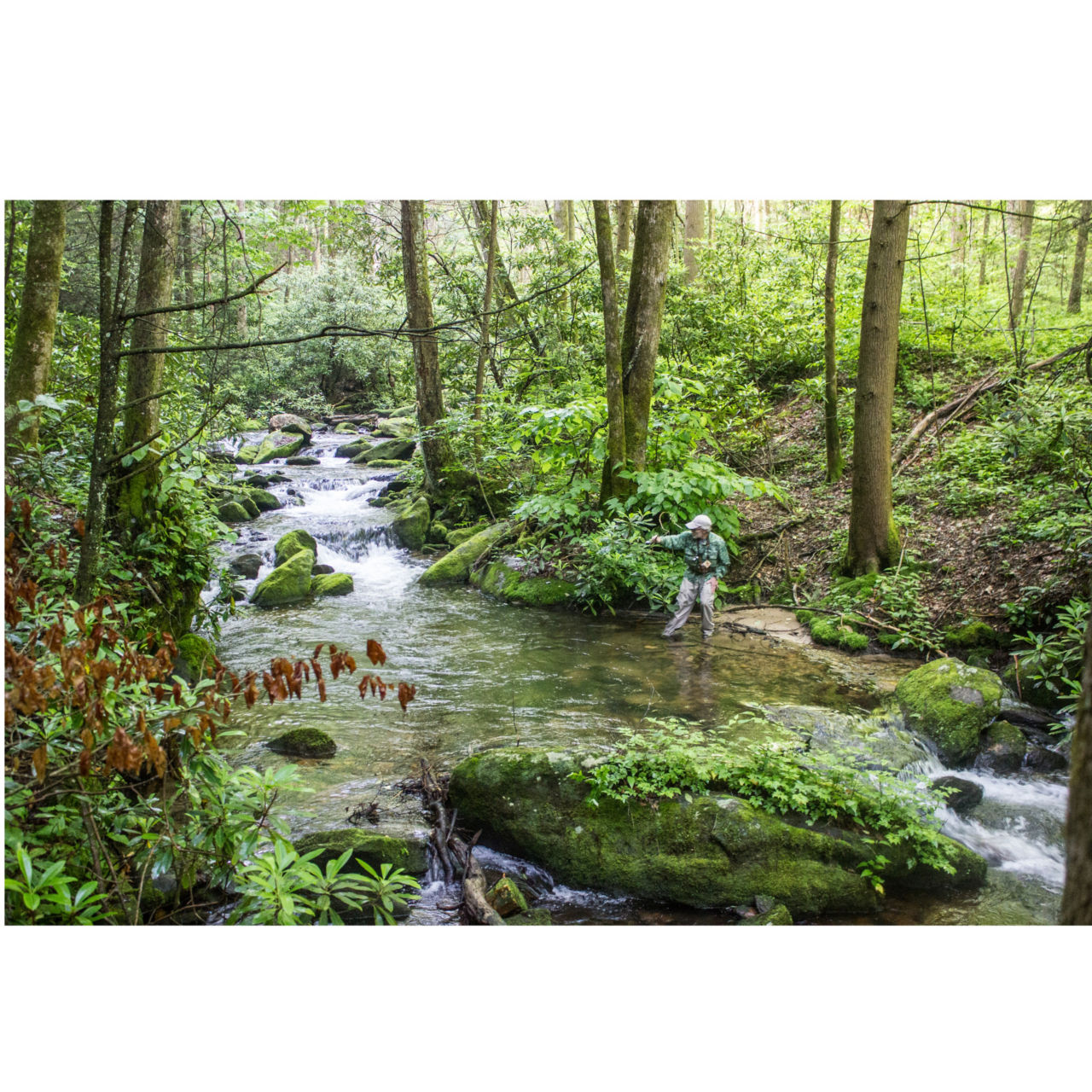 Cohutta Fly Fishing Co. -  image number 3