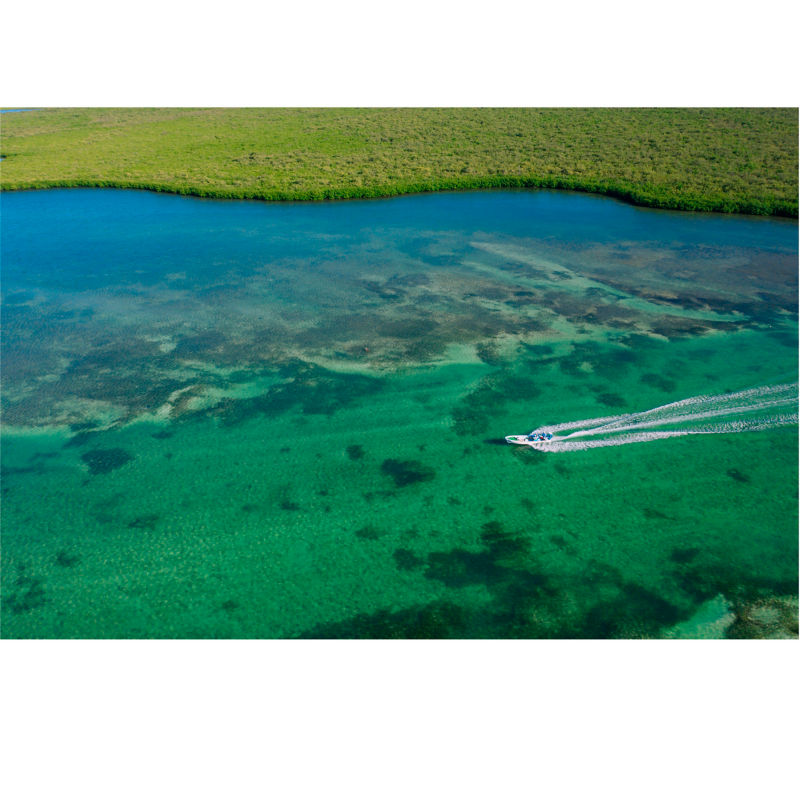 The Xflats -  image number 2