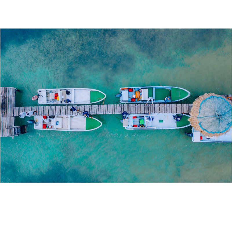 The Xflats -  image number 3