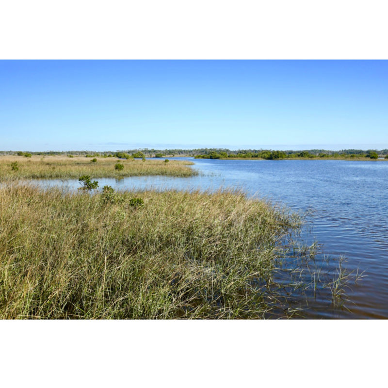 Capt. Kyle Messier -  image number 1