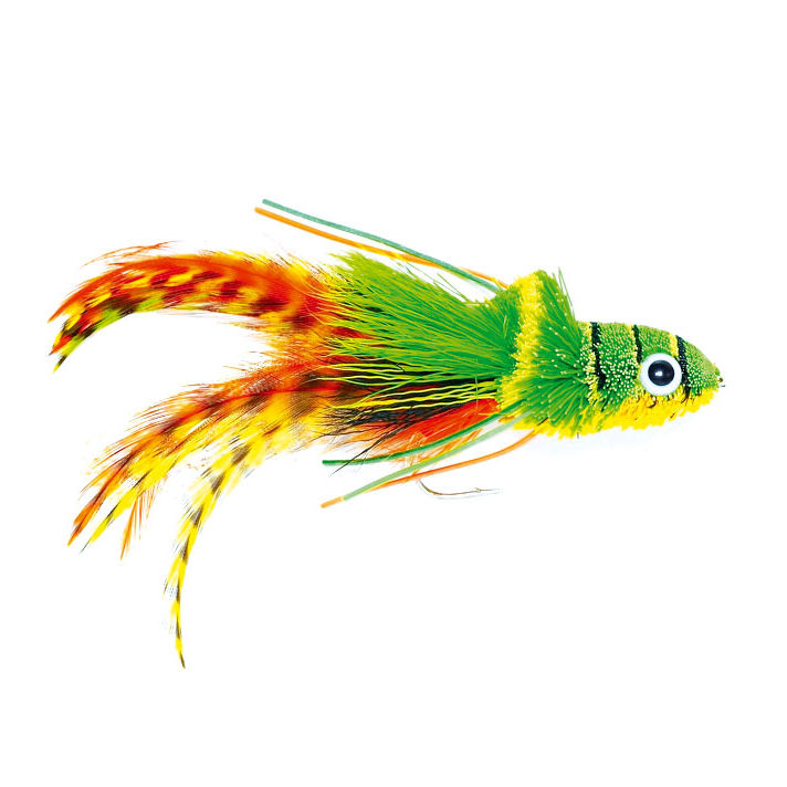 Swimming Frog Orange Belly - 