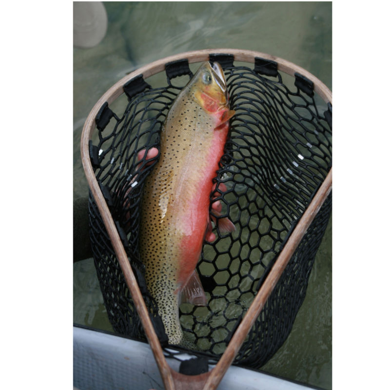 Orvis Week on the North Fork w/ Glacier Anglers -  image number 5