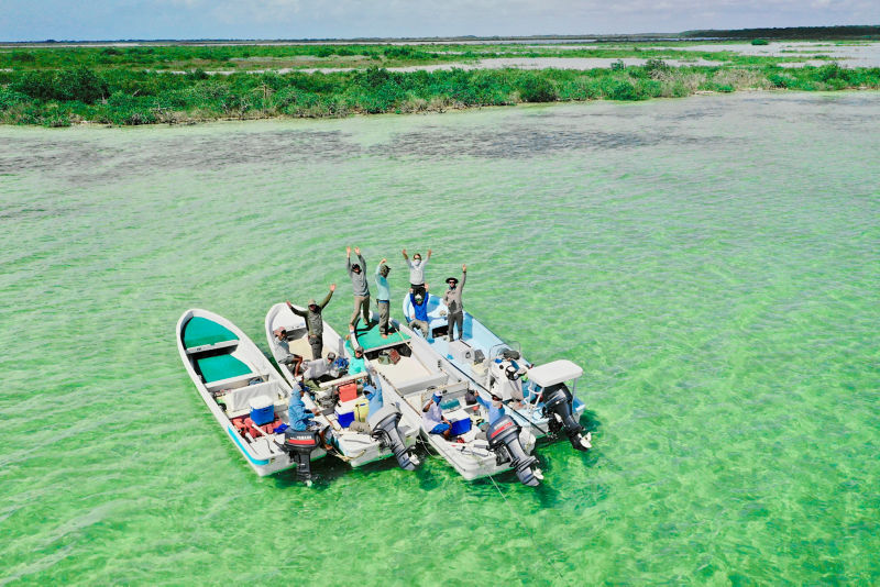 Four boats tied together in emerald green waters.
