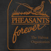 Pheasants Forever Artist Tee - BLACK