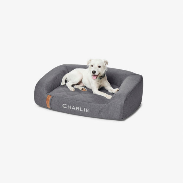 A fuzzy white dog on a charcoal RecoveryZone Couch Bed.