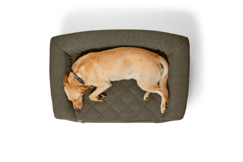 Orvis RecoveryZone&reg; Couch Dog Bed - OLIVE image number 1