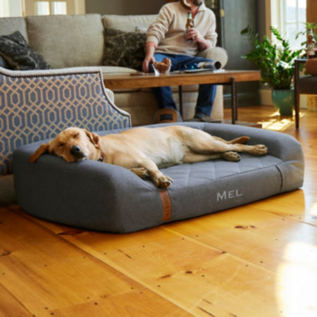 A yellow lab asleep on a slate RecoveryZone couch dog bed.