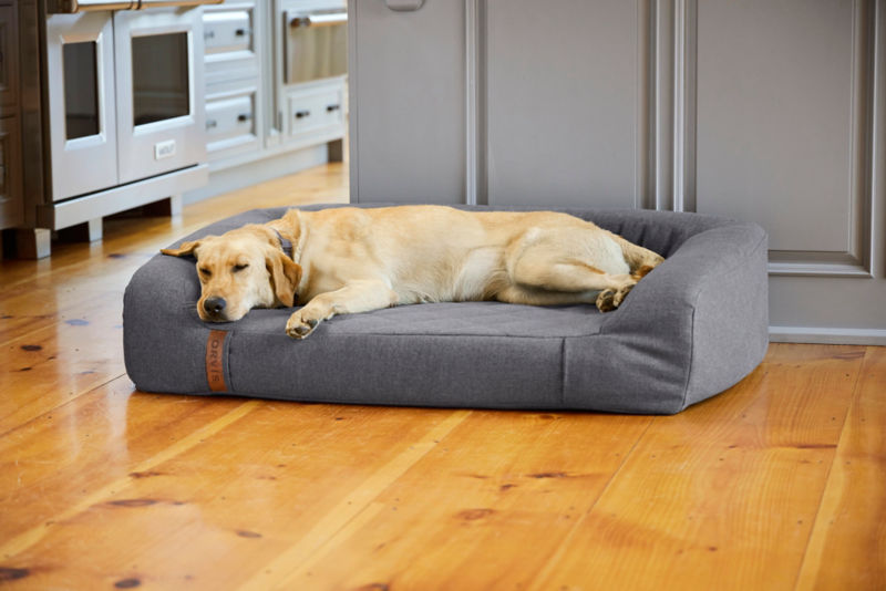 How to Choose a Dog Bed: A Comprehensive Guide | Orvis