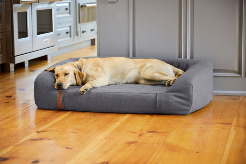 The Ultimate Guide to Dog Cuddle Beds: Benefits, Materials, and More