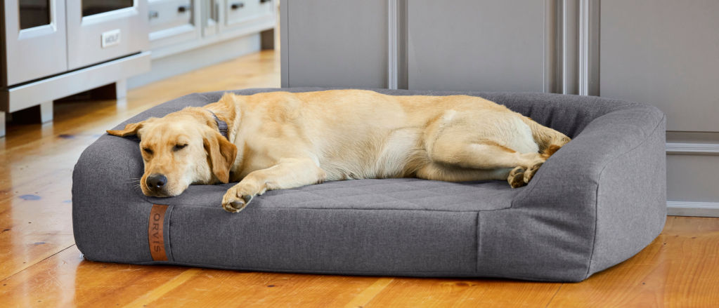 A big yellow Labrador Retriever asleep on a gray Orvis RecoveryZone dog bed.