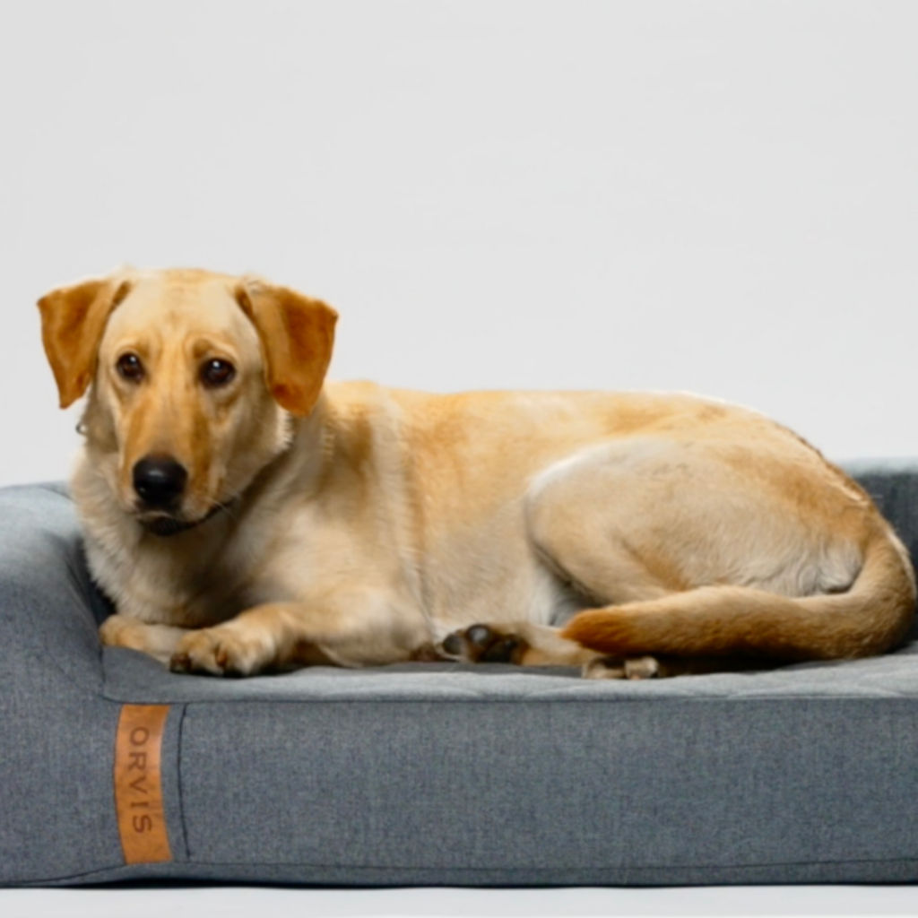 RecoveryZone Couch Dog Bed Video image number 4
