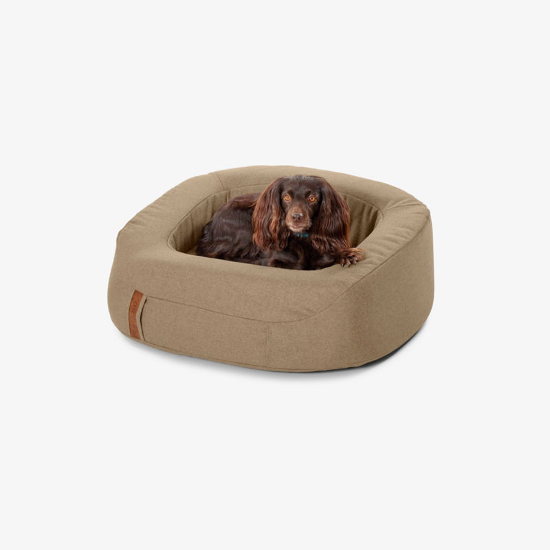 A small brown dog in a cozy brown bed.