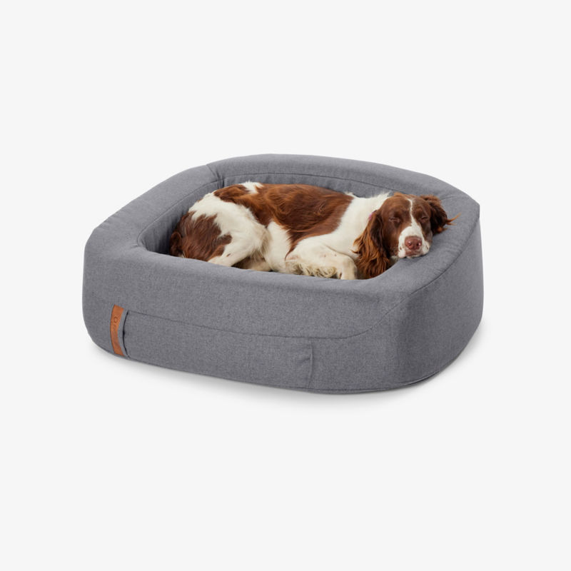 A brown and white dog sleeping in a gray den bed.