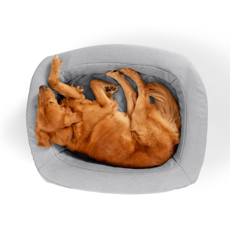 Orvis RecoveryZone&reg; Den Dog Bed - GRANITE image number 2