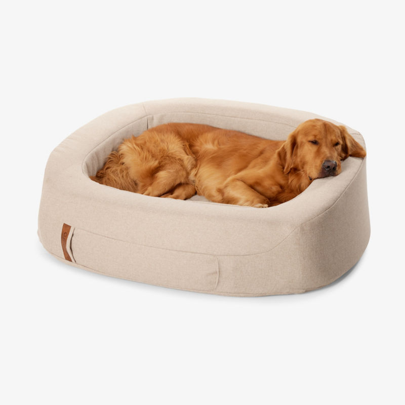 A golden retriever sleeping in a large light beige den bed.