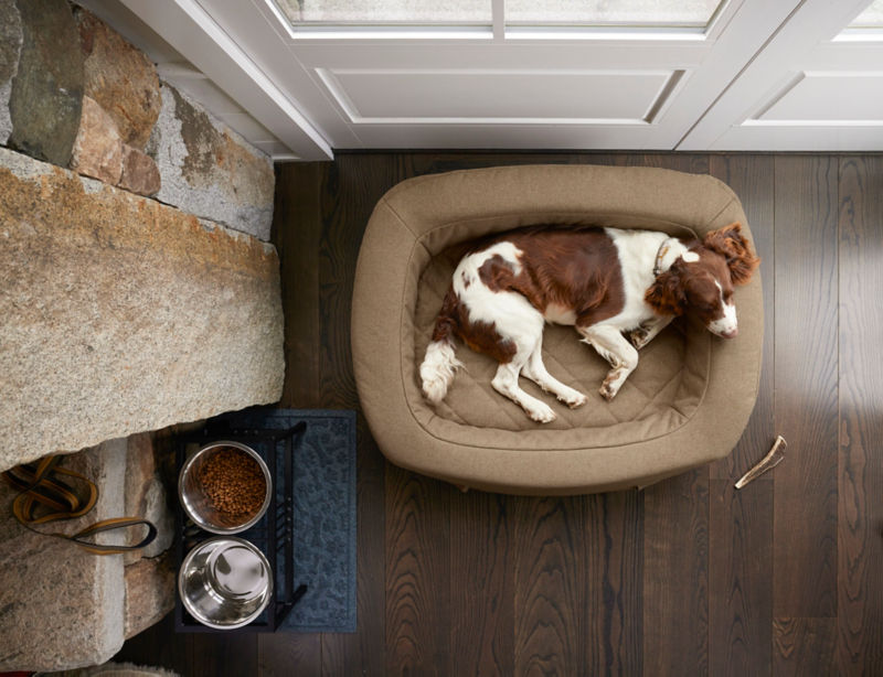 A yellow Labrador Retriever snoozes on a grey Recoveryzone Couch Dog Bed.
