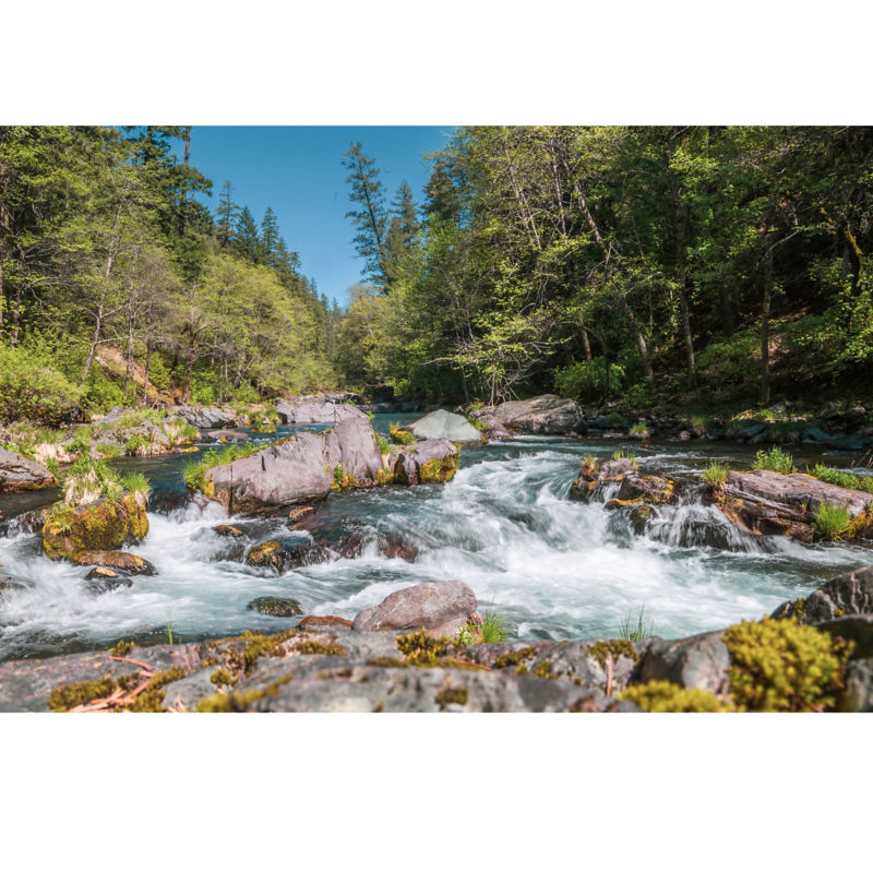 Colin Coogan -  image number 1