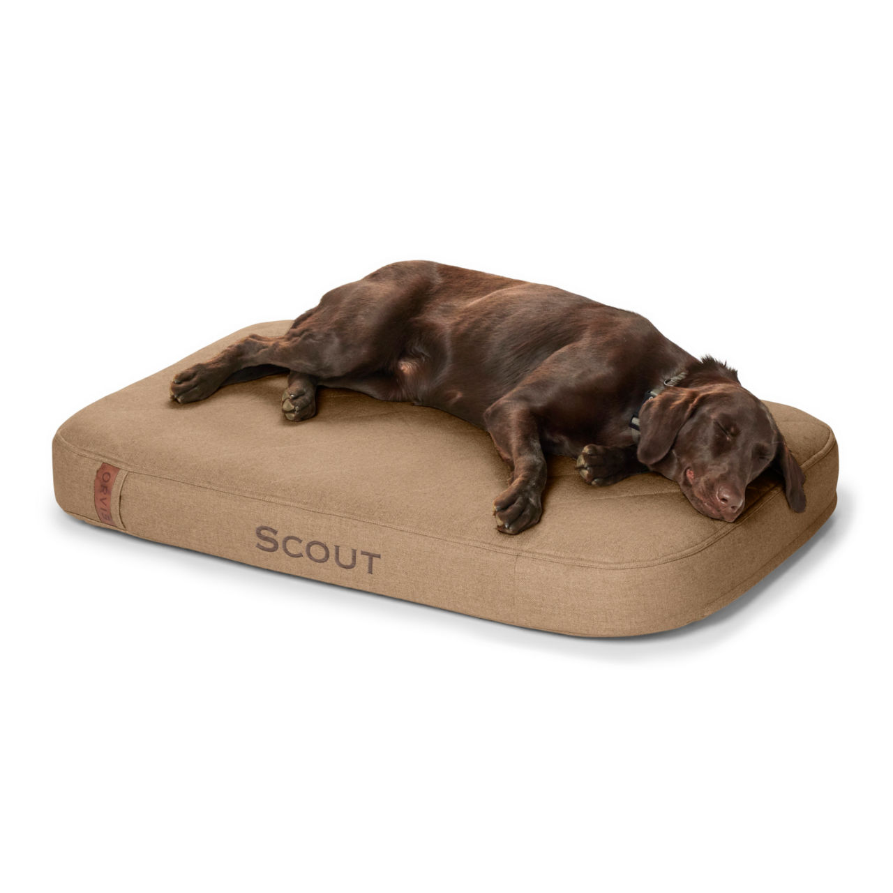 Orvis RecoveryZone™ ToughChew® Lounger Dog Bed -  image number 0
