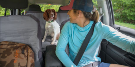 A driver looks into the backseat at her smiling spaniel.
