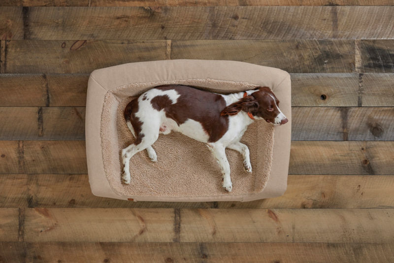 A brown and white dog lounging in their couch dog bed.