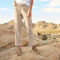 Performance Linen Ankle Pants - NATURAL image number 0