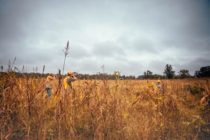 Running Creek Ranch Sporting Club & Resort, MS - 
