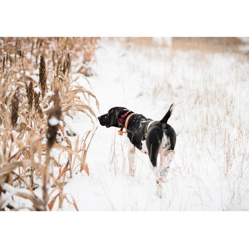 Meemo&rsquo;s Farm, MI -  image number 4