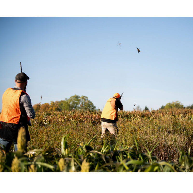 Meemo&rsquo;s Farm, MI -  image number 5