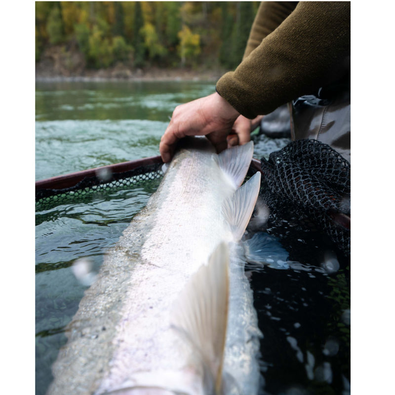 Epic Waters Angling -  image number 2