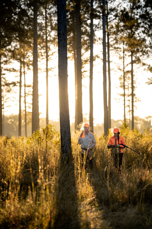 Almost Heaven Plantation, SC -  image number 1