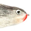 Joe’s Flathead Shad - SHAD