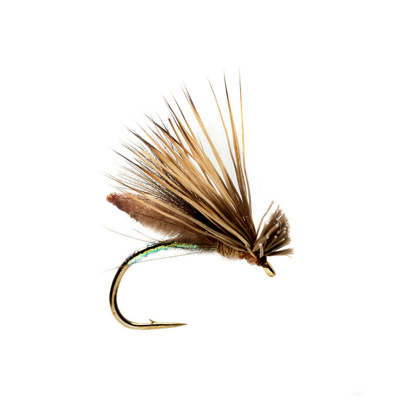 Palomino Caddis - TAN