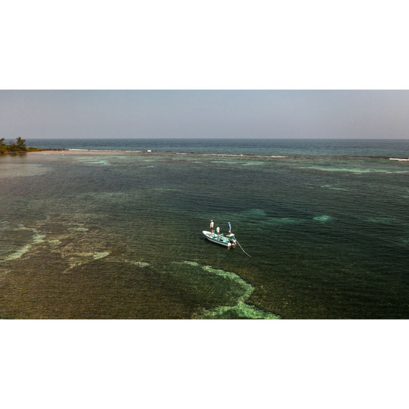 Fly Fish Utila -  image number 3