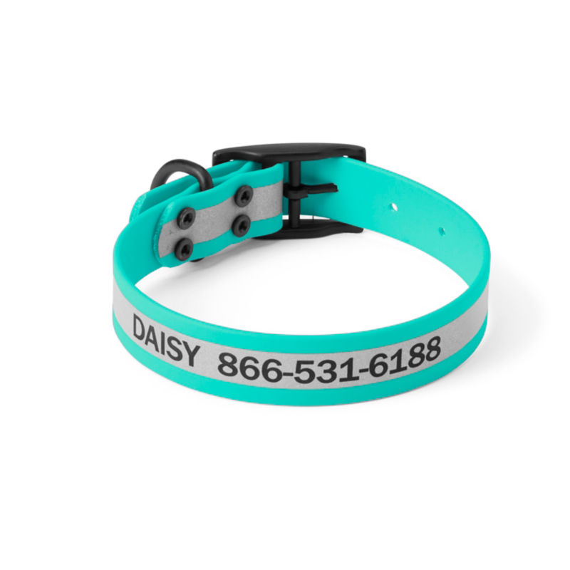 Orvis Waterproof Dog Collar - TEAL image number 0