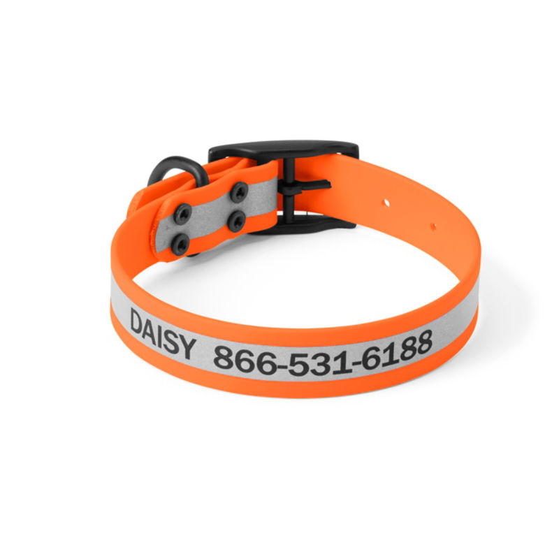 Orvis Waterproof Dog Collar - ORANGE