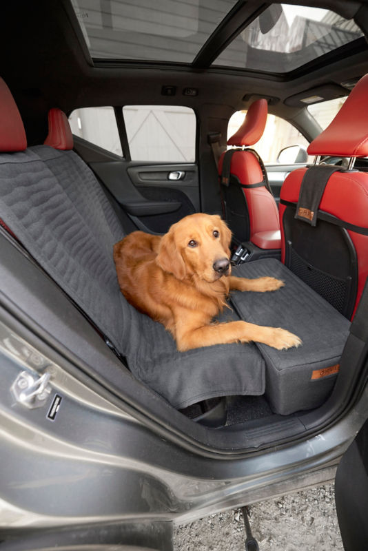 A golden retriever laying on a car protector in the backseat of a vehicle.