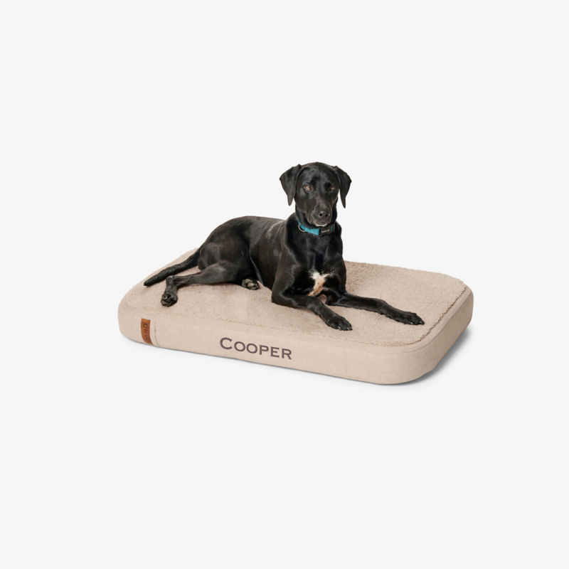 A black Labrador Retriever mix on a tan RecoveryZone Lounger Bed.