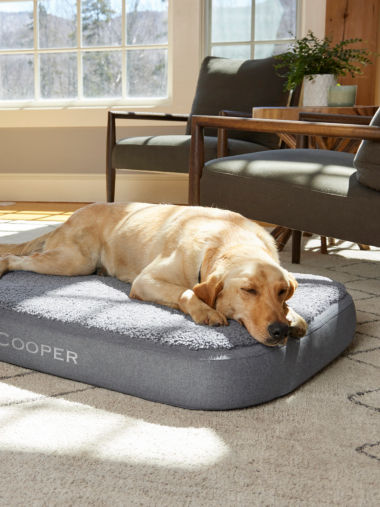 A yellow Labrador Retriever asleep on a gray RecoveryZone Fleecelock Lounger dog bed.