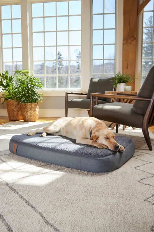 A yellow Labrador Retriever asleep on a gray FleeceLock RecoveryZone Lounger Dog Bed.