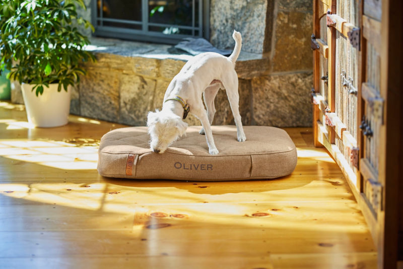 A ToughChew&reg; Lounger Dog Bed with a dog chewing on it.