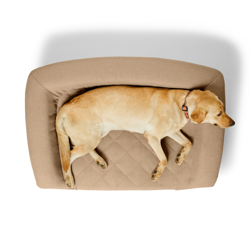 Orvis RecoveryZone™ ToughChew® Couch Dog Bed -  image number 1