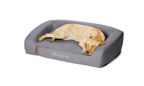 Yellow Lab asleep in RecoveryZone bed.