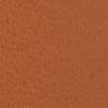 Fish Icon Belt - TAN