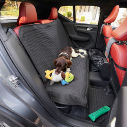 A dog sitting in the back seat on a Grip-Tight® Quilted Hose-Off Backseat Protector