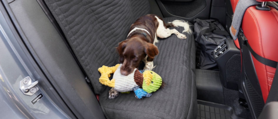 A dog playing with a toy in the backseat which is covered by a Grip Tight Windowed Hammock.