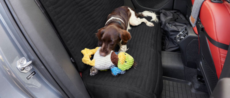 A dog sitting in the back seat on a car on a Grip-tight seat protector with an Animal Squeaky Toy