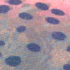 Rainbow Trout Print Trucker Hat - RAINBOW TROUT