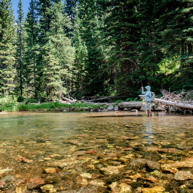 Budge&rsquo;s Wilderness Lodge, CO -  image number 2