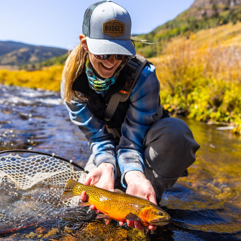 Budge&rsquo;s Wilderness Lodge, CO -  image number 4